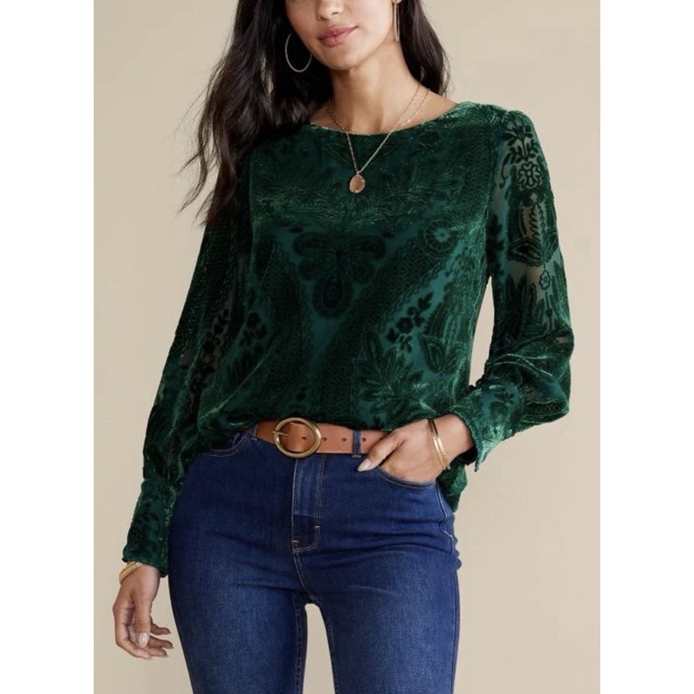 NWT Soft Surroundings Vanetta‎ Velvet Burnout Top Green Boho Goth Holiday 1X
